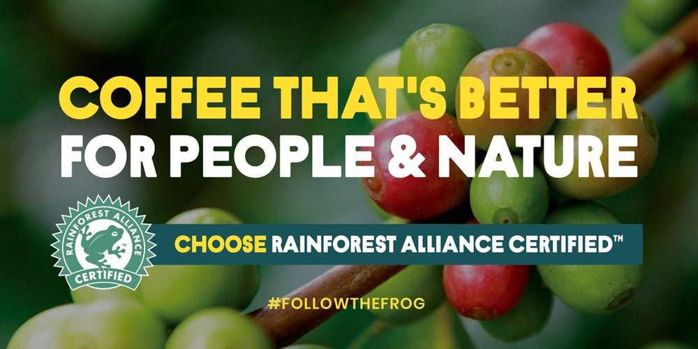 QRoasters Finca Rain Forest Alliance approved