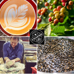 Single Origin - Papua New Guinea PG Kimel Grade A