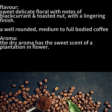Wikka Organic Blend Coffee